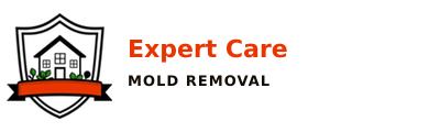 Expert Care Mold Removal